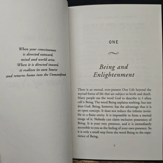 Practising The Power of Now - Eckhart Tolle รูปที่ 8