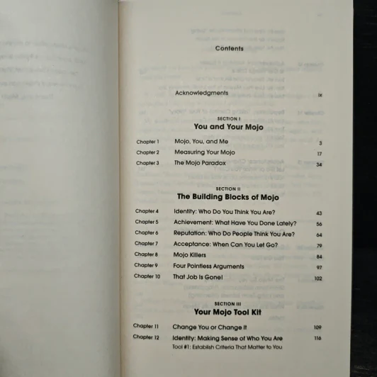 Mojo: How to Get It, How to Keep It, How to Get It Back If You Lose It - Marshall Goldsmith, Mark Reiter รูปที่ 6