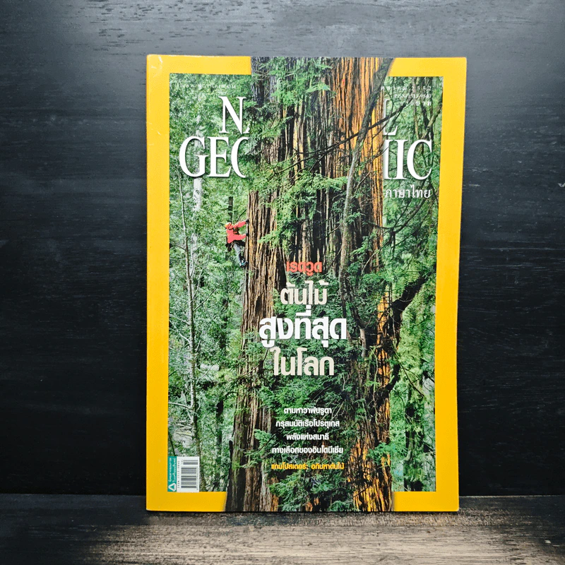 National Geographic ฉบับที่ 99 ต.ค. 2552 เรดวูด รูปที่ 1