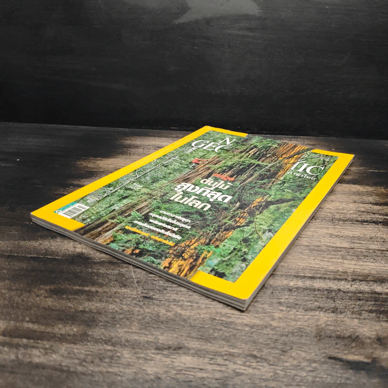 National Geographic ฉบับที่ 99 ต.ค. 2552 เรดวูด รูปที่ 4