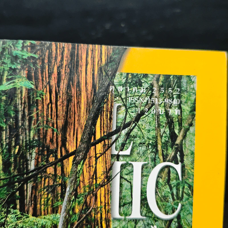 National Geographic ฉบับที่ 99 ต.ค. 2552 เรดวูด รูปที่ 6