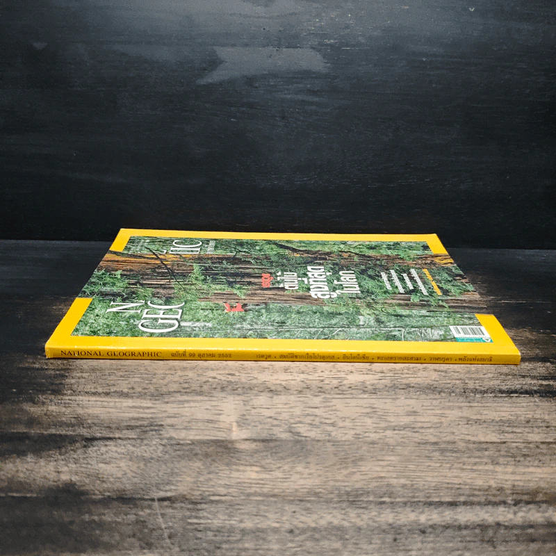 National Geographic ฉบับที่ 99 ต.ค. 2552 เรดวูด รูปที่ 3