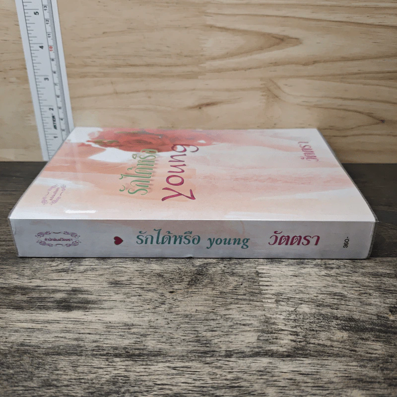 รักได้หรือ young - วัตตรา รูปที่ 2