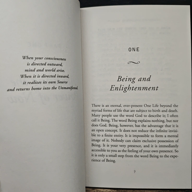 Practising The Power of Now - Eckhart Tolle รูปที่ 8