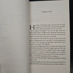 The Eye of the Leopard - Henning Mankell รูปที่ 7