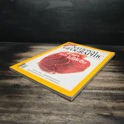 National Geographic ฉบับที่ 67 ก.พ. 2550 รักษาหัวใจไม่ให้เจ็บ รูปที่ 4