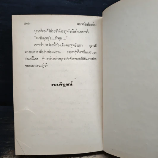 แมวกับปลาย่าง - กรุง ญ. ฉัตร รูปที่ 7