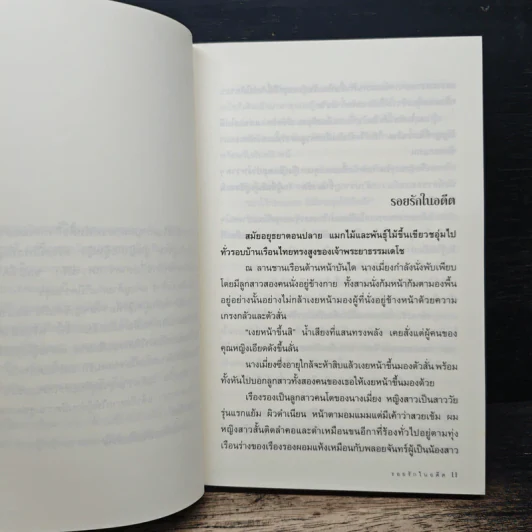 รอยรักในอดีต - โม รูปที่ 7