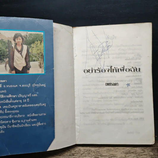 อย่าร้องไห้เพื่อฉัน - เพชรลดา รูปที่ 6