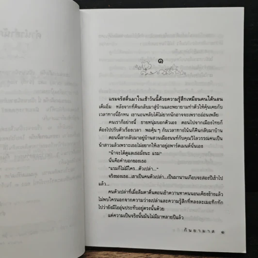 เขยนอกสังกัด - กันยามาส รูปที่ 7