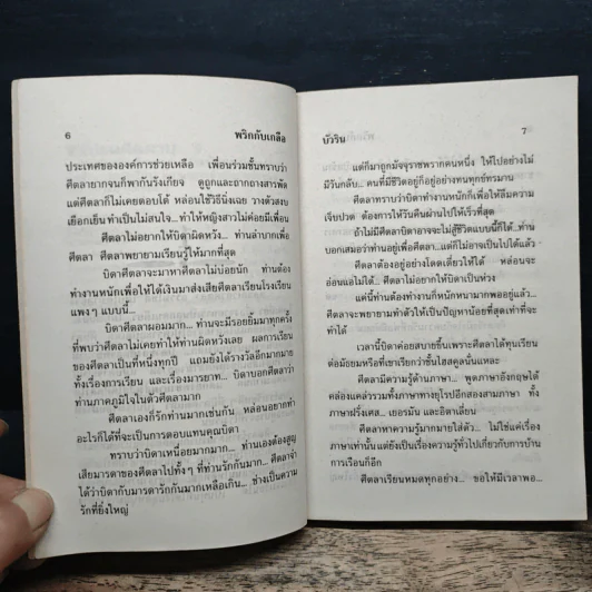 พริกกับเกลือ - บัวริน รูปที่ 7