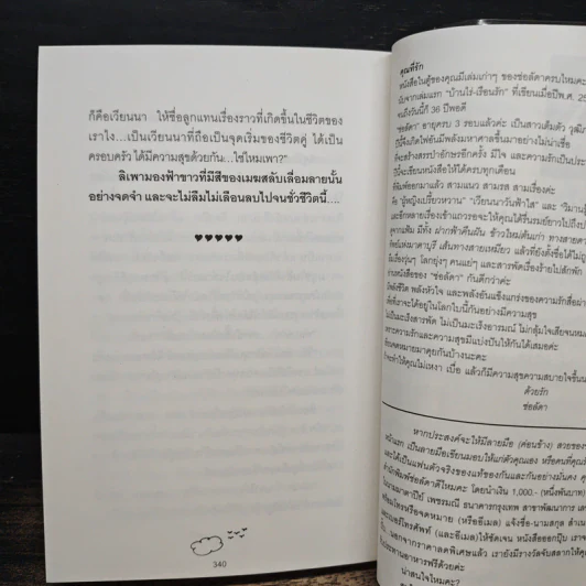เวียนนาวันฟ้าใส - ช่อลัดา รูปที่ 8
