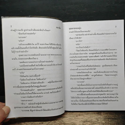 คุณชายจอมยุ่ง - ชลาลัย รูปที่ 7