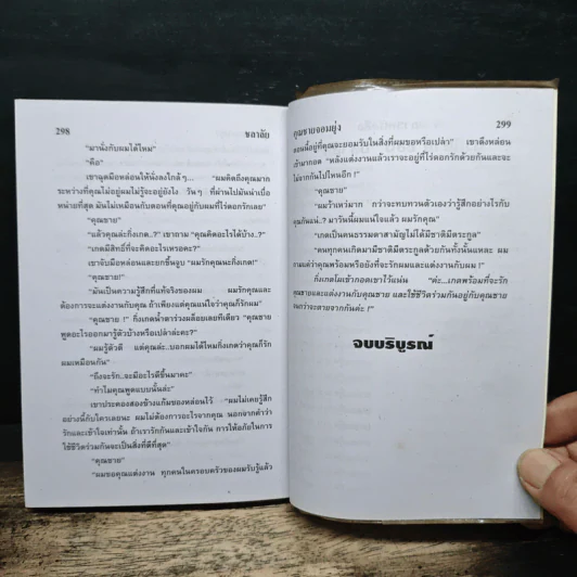 คุณชายจอมยุ่ง - ชลาลัย รูปที่ 8