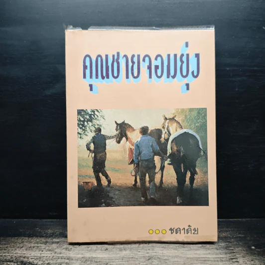 คุณชายจอมยุ่ง - ชลาลัย รูปที่ 1
