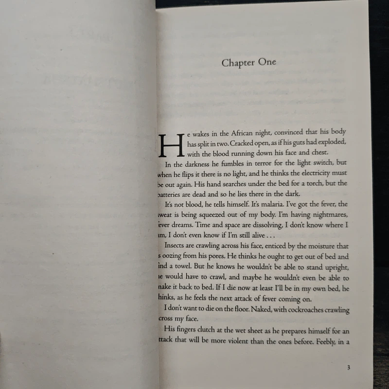The Eye of the Leopard - Henning Mankell รูปที่ 7