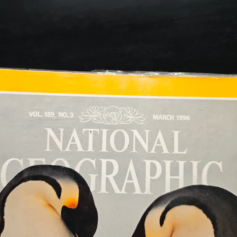 NATIONAL GEOGRAPHIC Vol.189 No.3 March 1996 รูปที่ 6