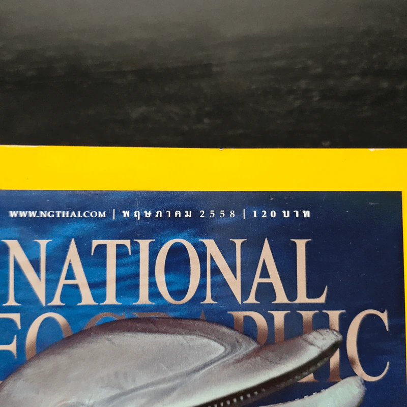 National Geographic พ.ค.2558 ถอดรหัสความแสนรู้ของโลมา รูปที่ 6