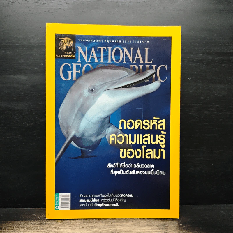 National Geographic พ.ค.2558 ถอดรหัสความแสนรู้ของโลมา รูปที่ 1