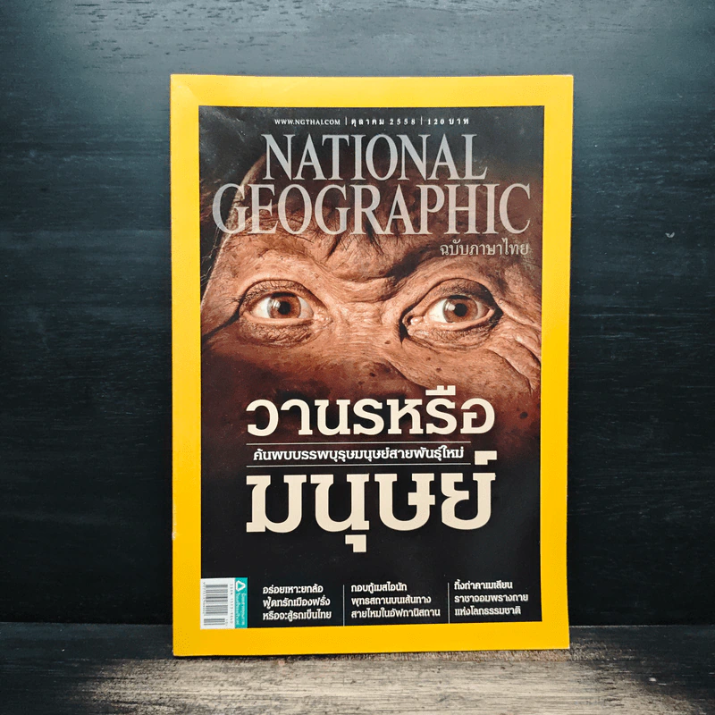 National Geographic ฉบับที่ 171 ตุลาคม 2558 วานรหรือมนุษย์ รูปที่ 1
