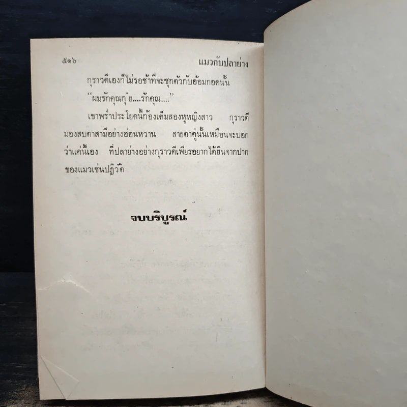แมวกับปลาย่าง - กรุง ญ. ฉัตร รูปที่ 7