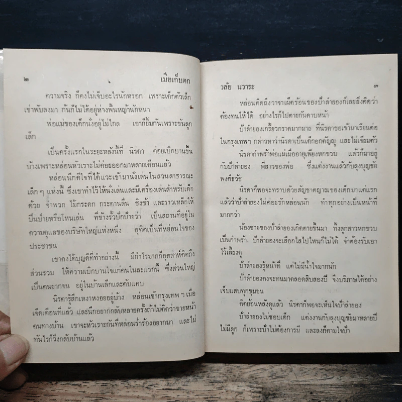 เมียเก็บตก - วลัย นวาระ รูปที่ 7