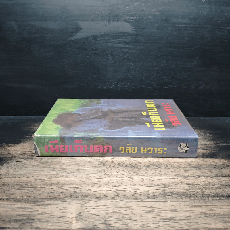 เมียเก็บตก - วลัย นวาระ รูปที่ 3