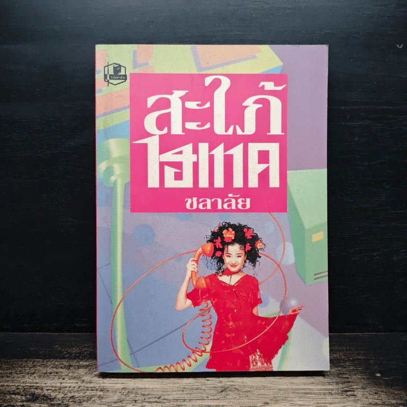 สะใภ้ไฮเทค - ชลาลัย รูปที่ 1