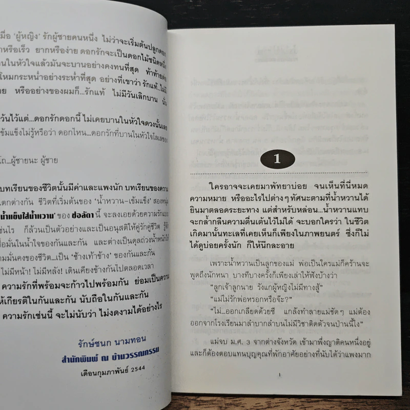 น้ำแข็งใส่น้ำหวาน - ช่อลัดา รูปที่ 7