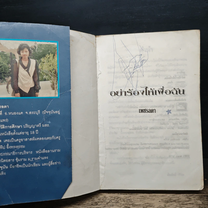 อย่าร้องไห้เพื่อฉัน - เพชรลดา รูปที่ 6