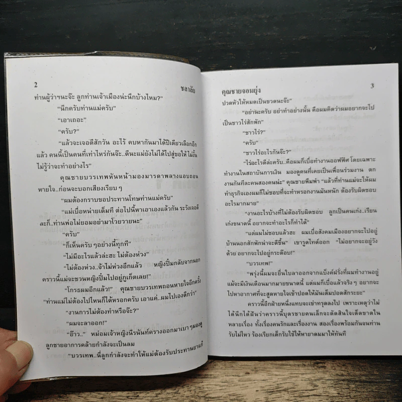 คุณชายจอมยุ่ง - ชลาลัย รูปที่ 7