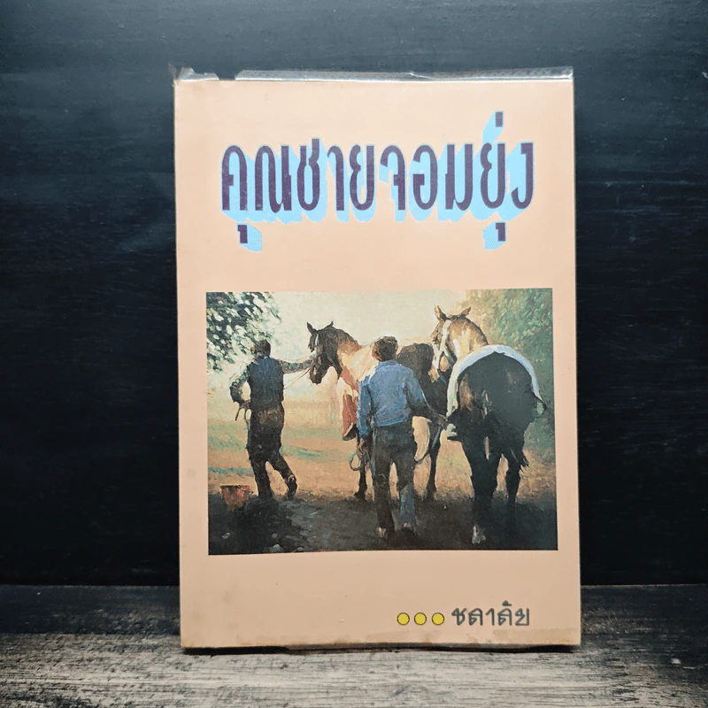 คุณชายจอมยุ่ง - ชลาลัย รูปที่ 1