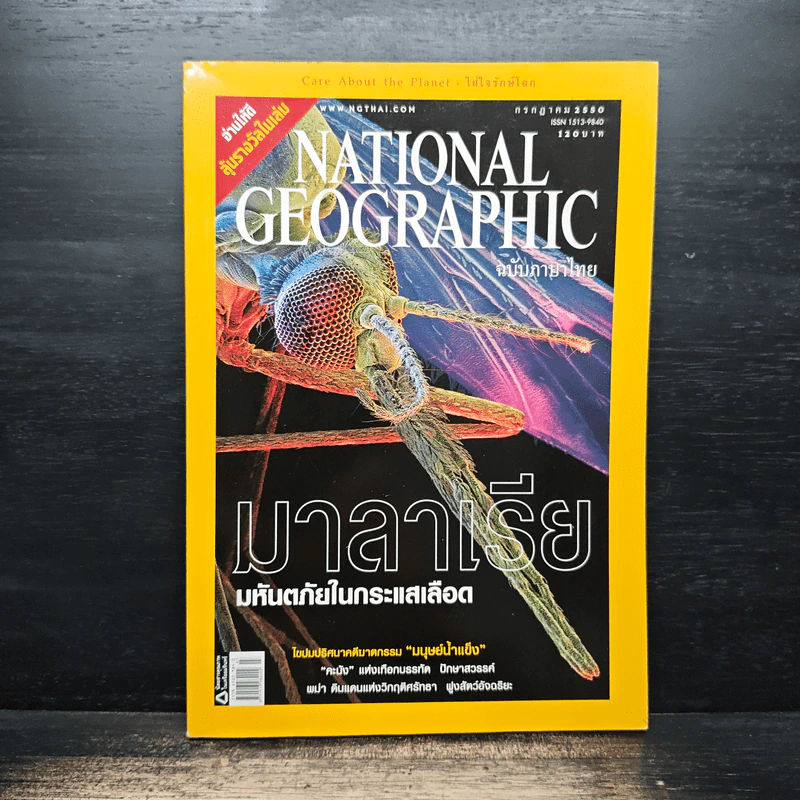 National Geographic ฉบับที่ 72 ก.ค.2550 รูปที่ 1