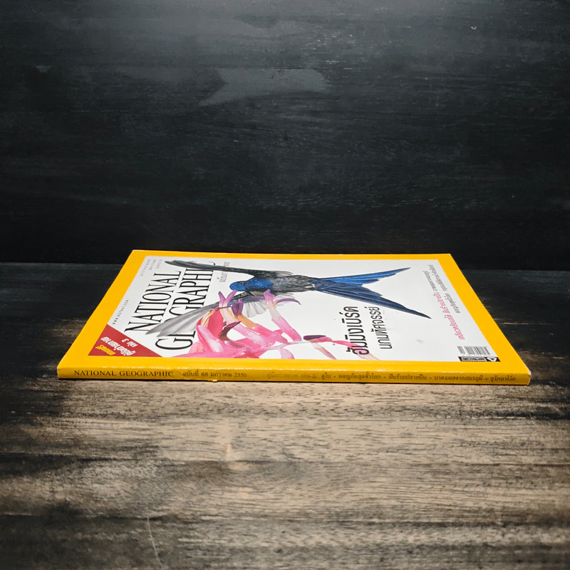 National Geographic ฉบับที่ 66 ม.ค.2550 ฮัมมิงเบิร์ด นกมหัศจรรย์ รูปที่ 3