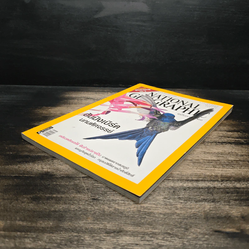National Geographic ฉบับที่ 66 ม.ค.2550 ฮัมมิงเบิร์ด นกมหัศจรรย์ รูปที่ 4