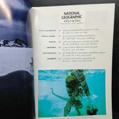 National Geographic ฉบับที่ 84 ก.ค. 2551 รูปที่ 7