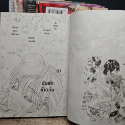 ก้าวย่างบนดอกกุหลาบ 9 เล่มจบ - Rinko Ueda รูปที่ 6
