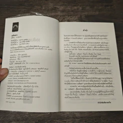 เอลันตรา - ดวงตะวัน รูปที่ 6