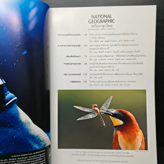 National Geographic ฉบับที่ 87 ต.ค. 2551 มนุษย์นีแอนเดอร์ทัล รูปที่ 7