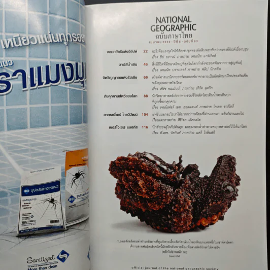 National Geographic ฉบับที่ 93 เม.ย. 2552 ฮัตเชปชุต รูปที่ 7