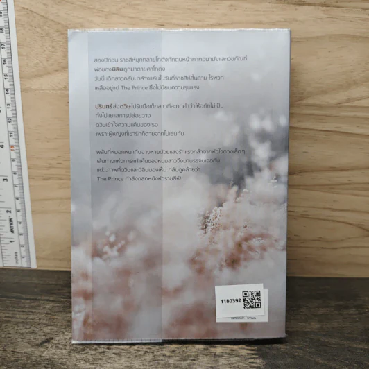 สายหมอกและดอกหญ้า - ดวงตะวัน รูปที่ 5