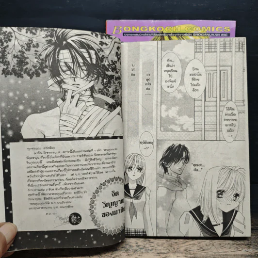 จะรักเธอเสมอไป 2 เล่มจบ - Osakabe Mashin รูปที่ 8