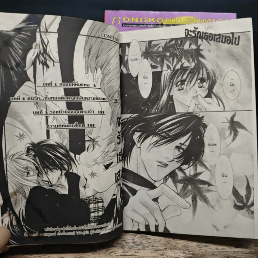 จะรักเธอเสมอไป 2 เล่มจบ - Osakabe Mashin รูปที่ 7