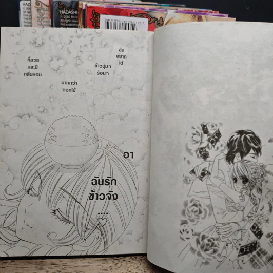 ก้าวย่างบนดอกกุหลาบ 9 เล่มจบ - Rinko Ueda รูปที่ 6