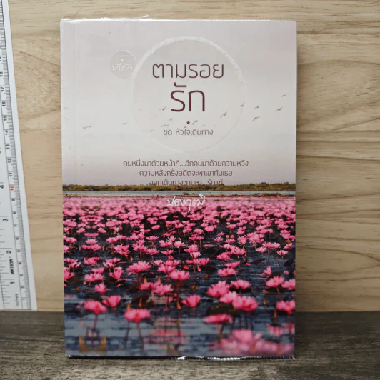 ตามรอยรัก - ปองวุฒิ รูปที่ 1