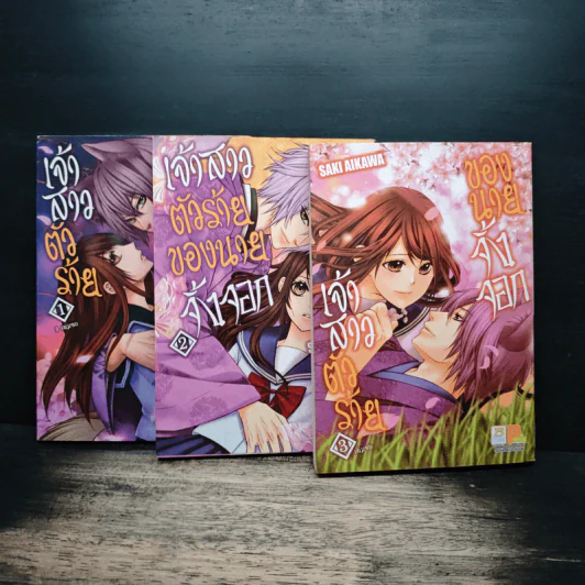 เจ้าสาวตัวน้อยของนายจิ้งจอก 3 เล่มจบ - Saki Aikawa รูปที่ 1