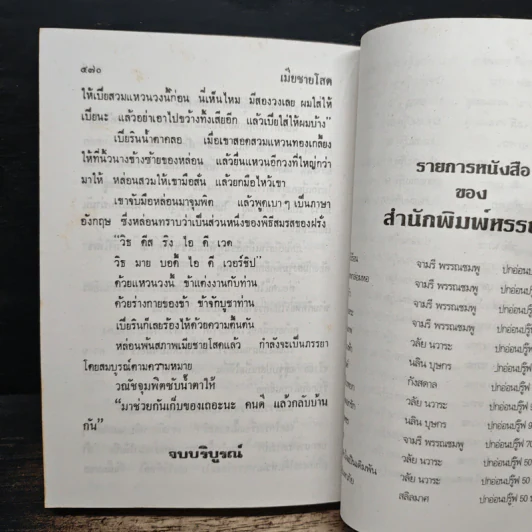 เมียชายโสด - วลัย นวาระ รูปที่ 8