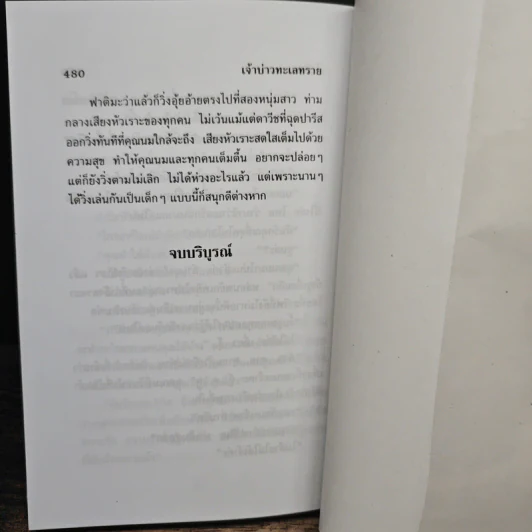 เจ้าบ่าวทะเลทราย - ไอริณ รูปที่ 8