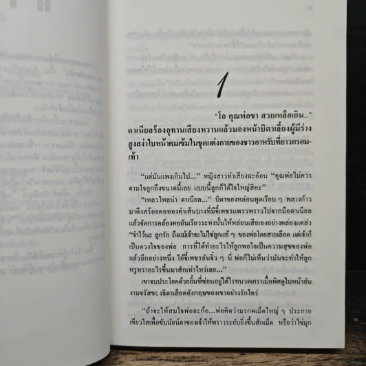 ตามหัวใจไปสุดหล้า - นิดา รูปที่ 7