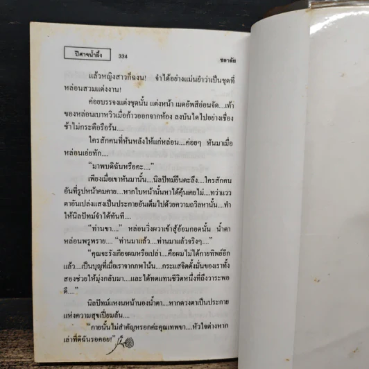 ปีศาจน้ำผึ้ง - ชลาลัย รูปที่ 8